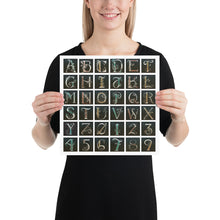 Load image into Gallery viewer, Drop Cap Alphabet Poster