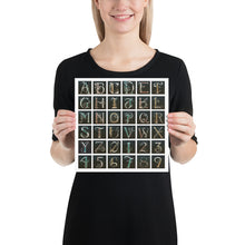 Load image into Gallery viewer, Drop Cap Alphabet Poster